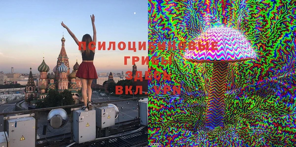 тгк Тайга