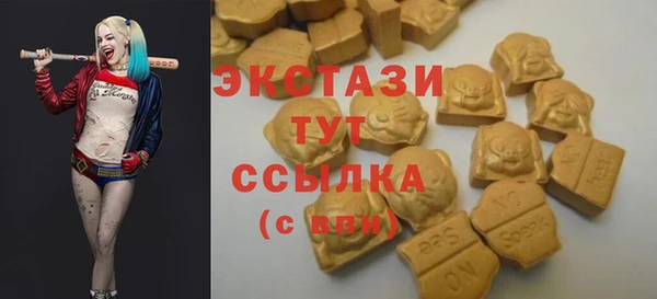 стафф Тавда