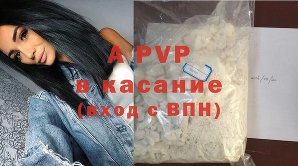 стафф Тавда