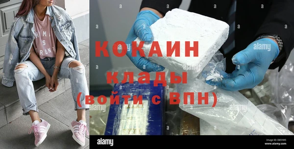 тгк Тайга