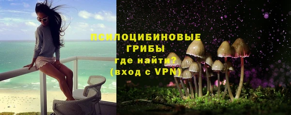 стафф Тавда