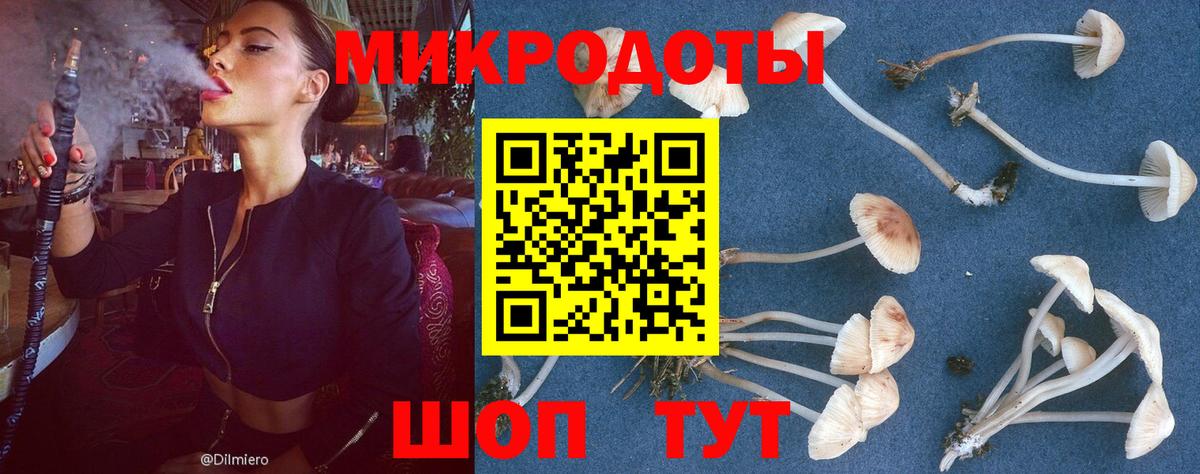 Галлюциногенные грибы Magic Shrooms Долгопрудный